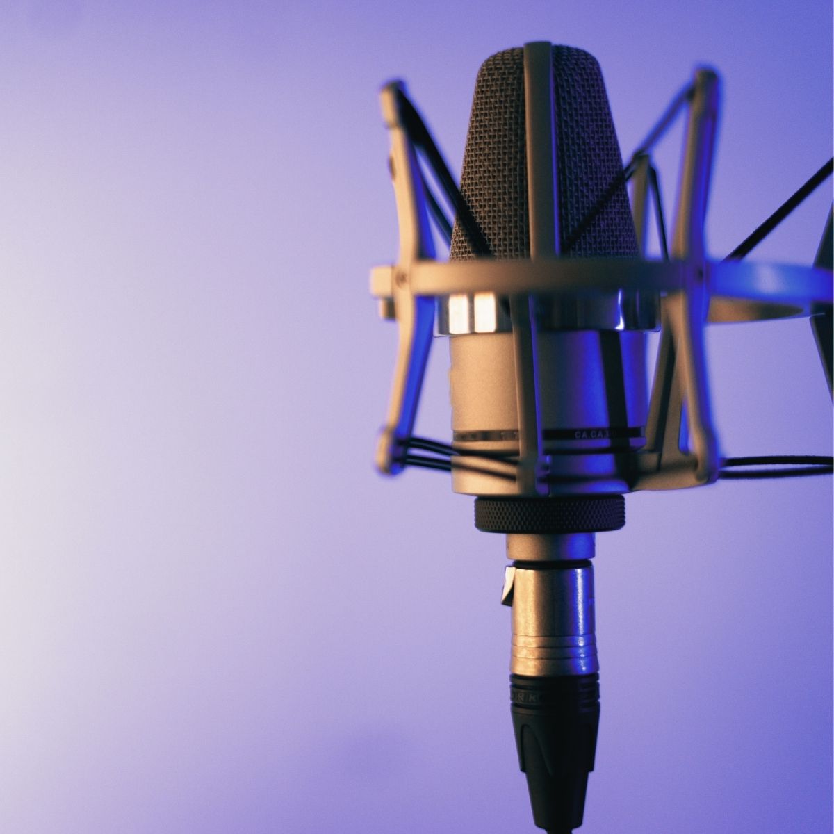 comunicacion alto impacto sara projects